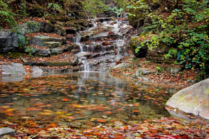 Woda mineralna, z kranu czy źródlana? Która jest najzdrowsza? 